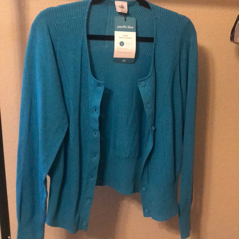 Teal cardigan